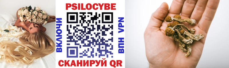 Псилоцибиновые грибы прущие грибы  Купить закладки  Каменск-Уральский 